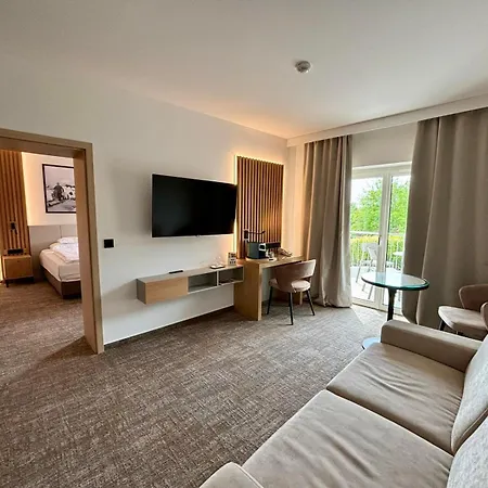 Otel Zenit Wellness Balaton Vonyarcvashegy