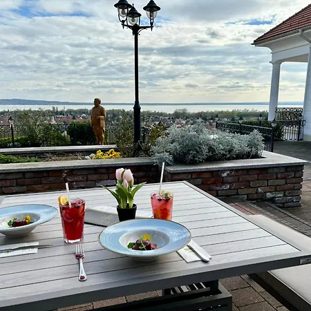 제닛 웰니스 발라톤 호텔 4*