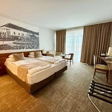 제닛 웰니스 발라톤 4*