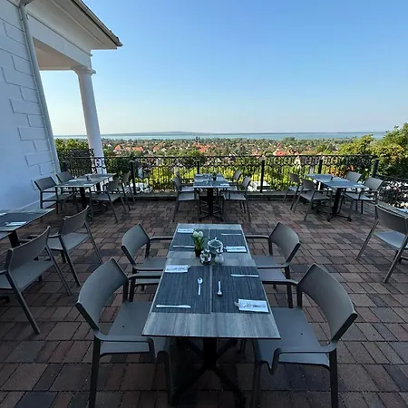 제닛 웰니스 발라톤