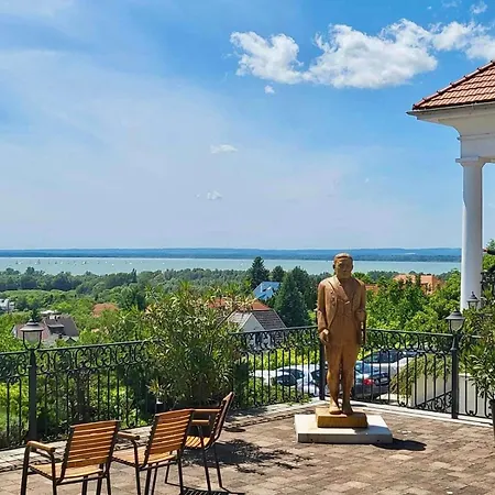 제닛 웰니스 발라톤 본보야크바세기