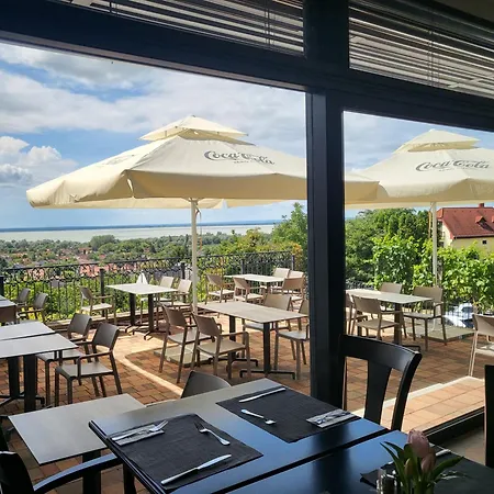 제닛 웰니스 발라톤