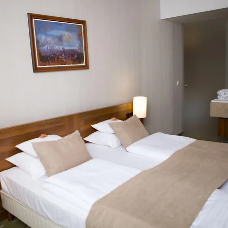 호텔 제닛 웰니스 발라톤