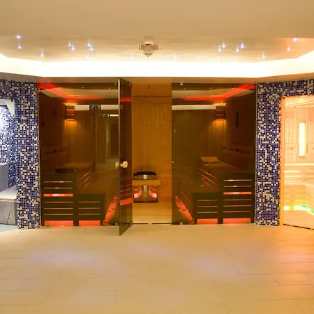 酒店 泽尼特巴拉顿健身酒店 4*