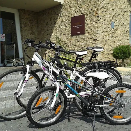 제닛 웰니스 발라톤 4*