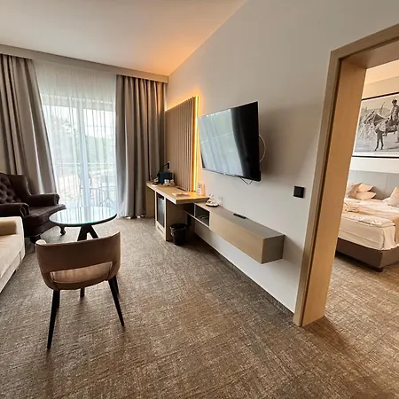 Zenit Wellness Balaton 4*