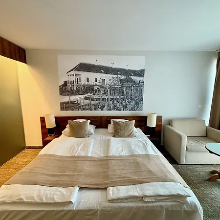 Zenit Wellness Balaton Vonyarcvashegy