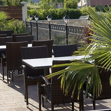 제닛 웰니스 발라톤 본보야크바세기