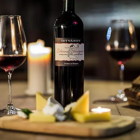 호텔 제닛 웰니스 발라톤 본보야크바세기