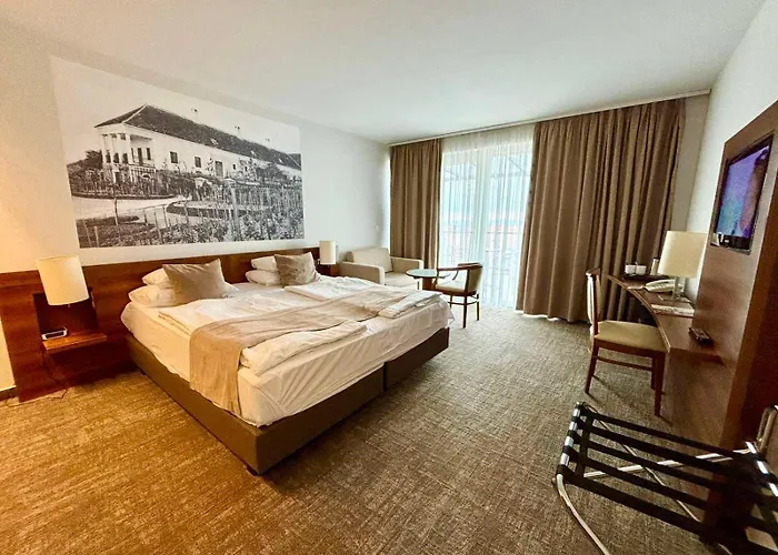 Zenit Wellness Balaton 4*