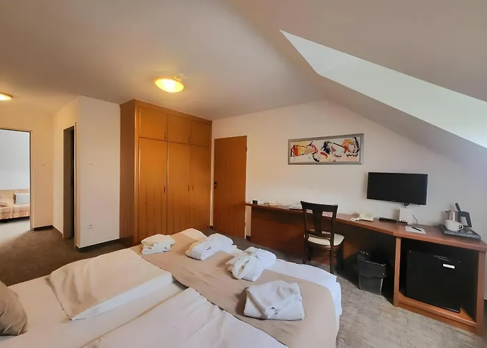 Zenit Wellness Balaton Hotel Vonyarcvashegy