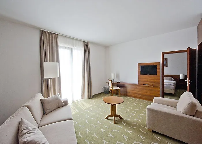 Hotel Zenit Wellness Balaton 4*