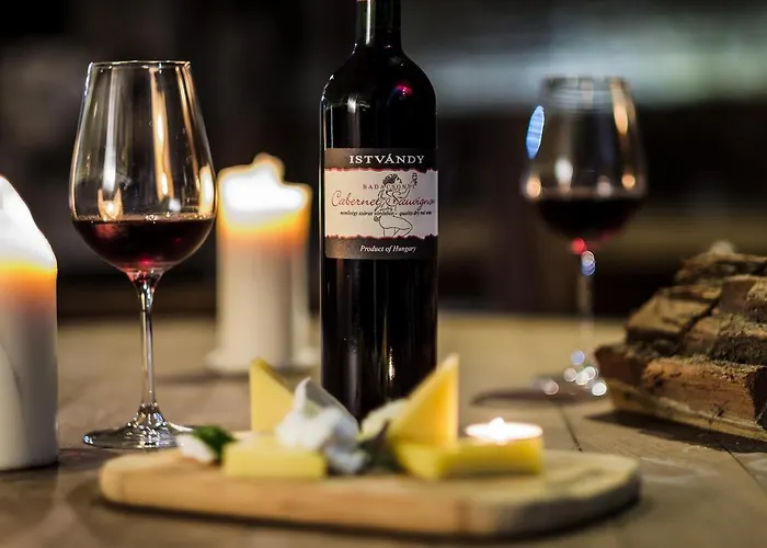 Hotel Zenit Wellness Balaton Vonyarcvashegy